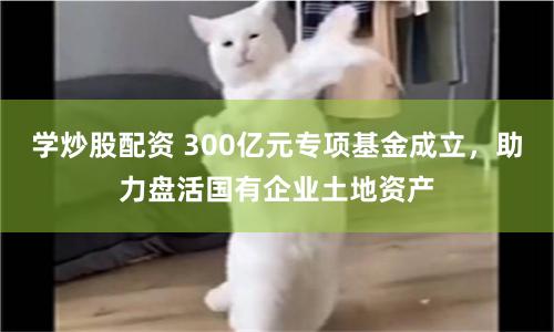 学炒股配资 300亿元专项基金成立，助力盘活国有企业土地资产