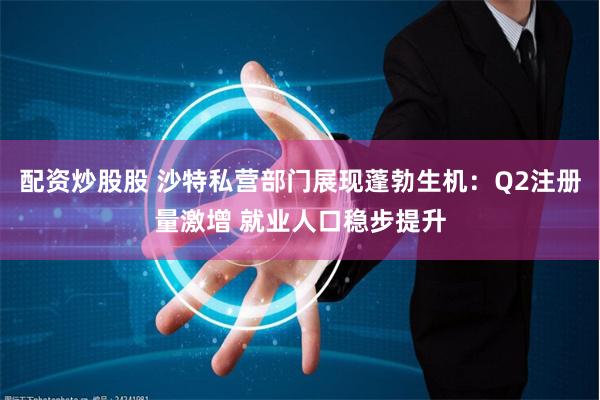 配资炒股股 沙特私营部门展现蓬勃生机：Q2注册量激增 就业人口稳步提升
