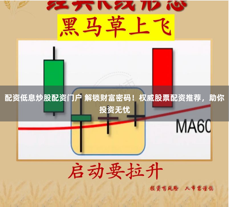 配资低息炒股配资门户 解锁财富密码！权威股票配资推荐，助你投资无忧